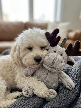 Nandog Plush Moose Toy